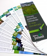 Workshop en Irlande / Meet in Ireland